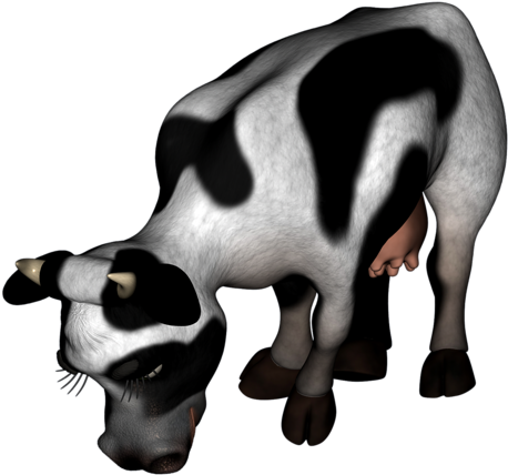 Cow - Dairy Cow (500x467)