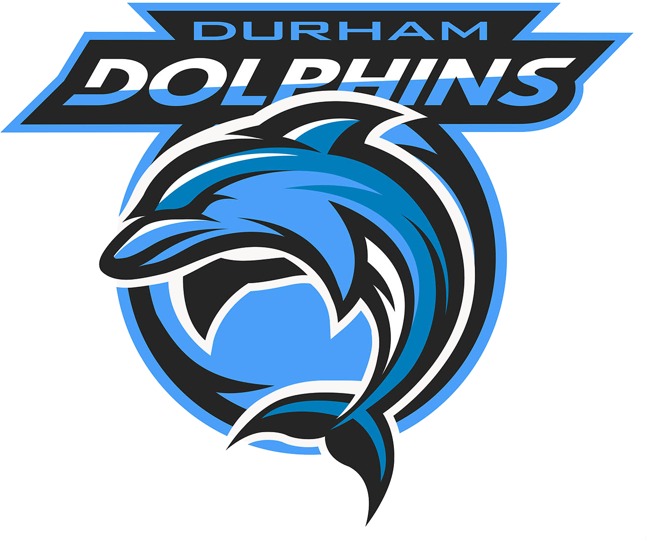 Dolphin Sports Logo (1320x1134)