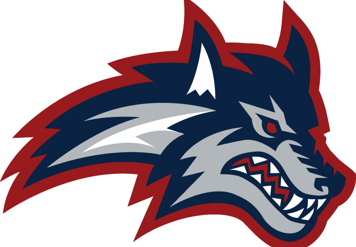 After Being Put On Hiatus After The Completion Of The - Stony Brook University Mascot (720x500)