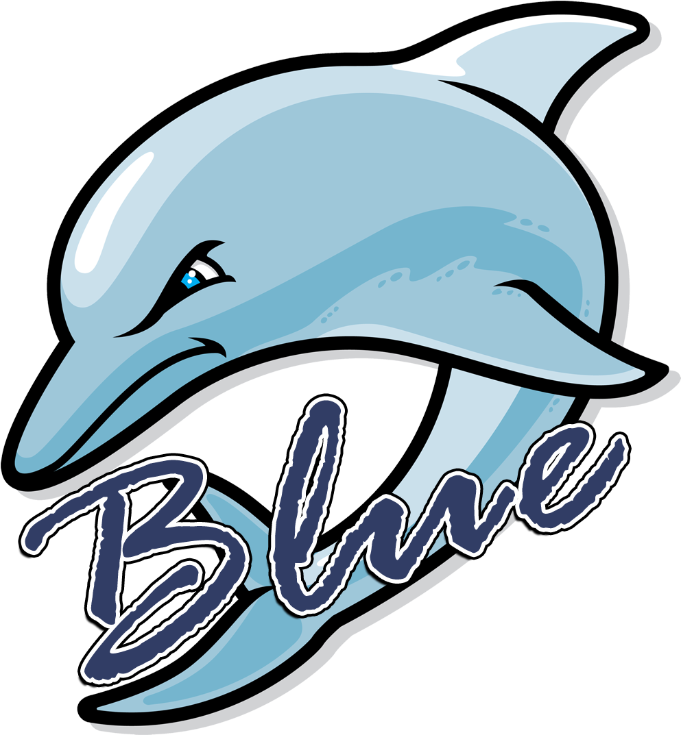 Blue Dolphins Logo - Fort Myers Middle Academy (1000x1080)