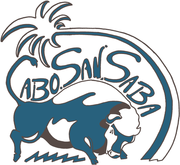 325 205 9090 301 County Road 102, San Saba County, - Cabo San Saba Rv Park (650x602)