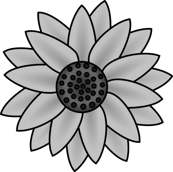 Other Supplies - Easy To Draw Sunflower (600x598)