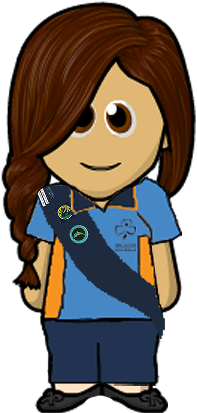 Gga Guide 3 Sash - Cartoon (971x971)