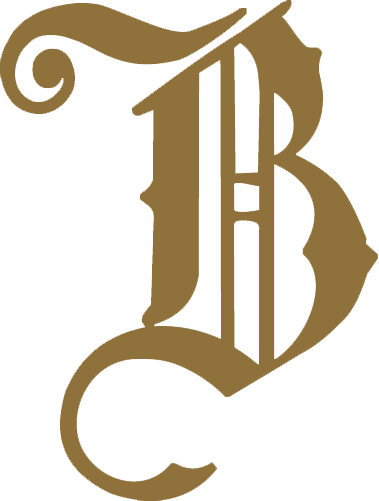 We Are The Exclusive Florida Representative For - Bosendorfer Logo (379x501)