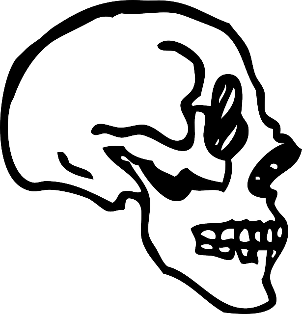 View, Profile, Skull, Human, Cartoon, Bones, Side - Cartoon Skull Profile (615x640)
