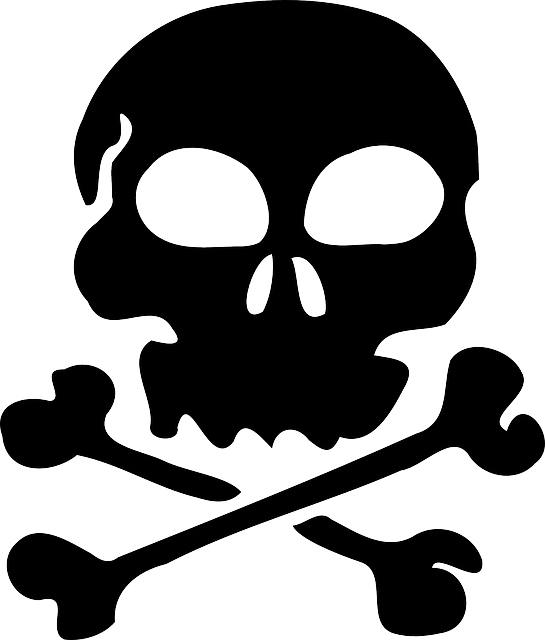 Black, Silhouette, Skull, Human, Cartoon, Bones - Skull Clipart Transparent Background (545x640)