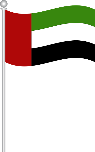Dubai Clipart Dubai Flag - Uae Flag Clipart (452x720)