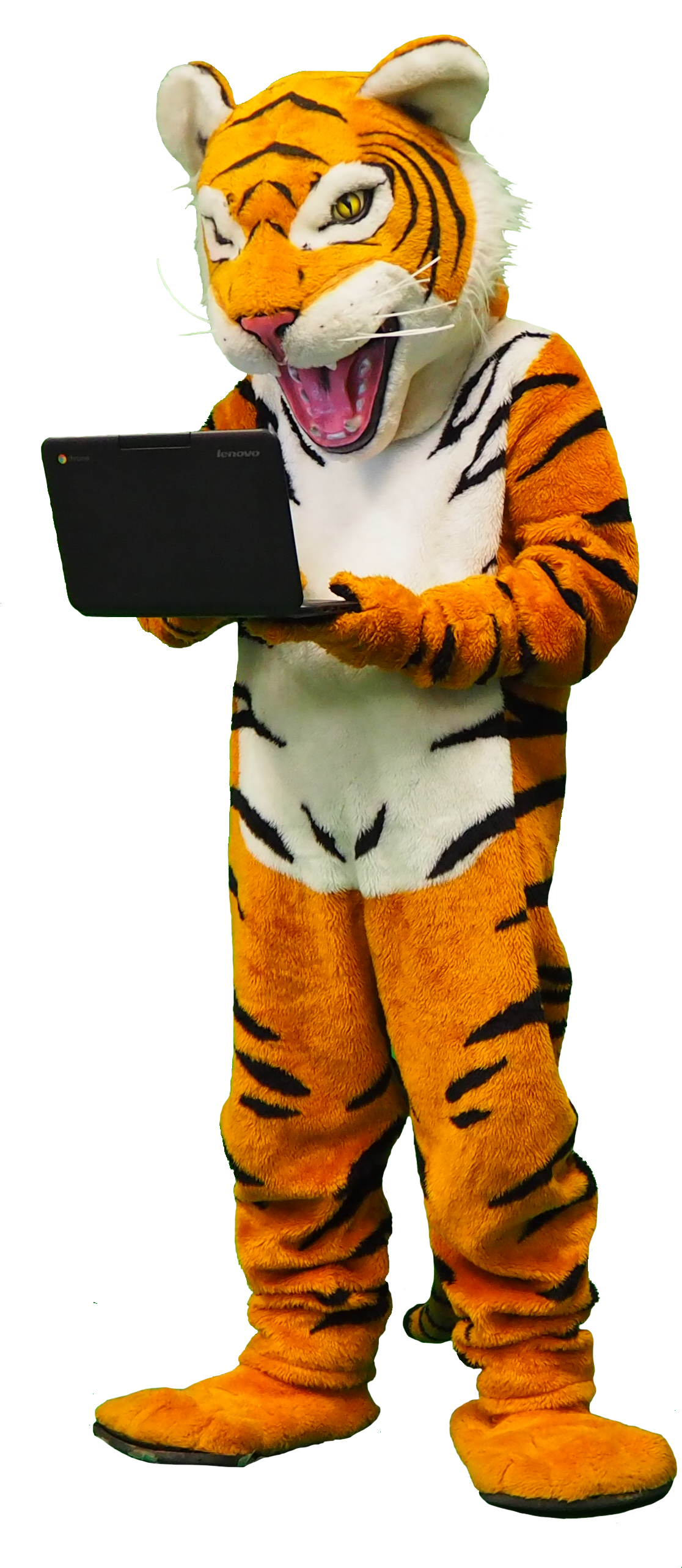 Jessica Town-gunderson - Chromebook (1737x2606)