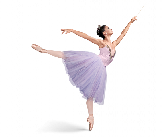 City Ballet - Ballet Png (569x480)