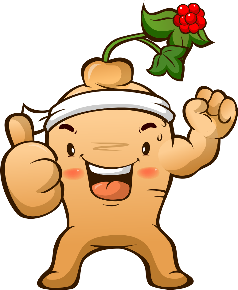 Asian Ginseng Cartoon Drawing Animation - Ginseng Character (1000x1000)