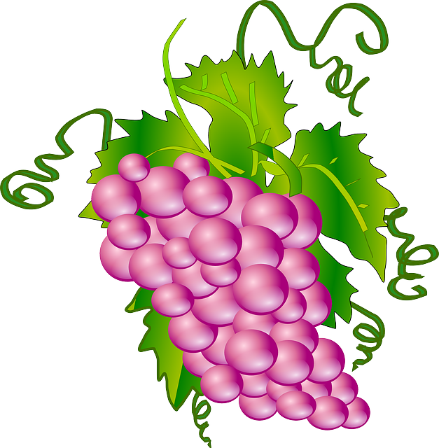 Fruit, Grapes, Tree, Branch, Grape, Plant, Vine - Grapes Clipart (627x640)