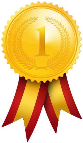 Goldmedal Ayya Nadar Janaki Ammal College Dujudx Clipart - Pilates Ball - Yoga Ball - Stability Ball - Exercise (360x578)
