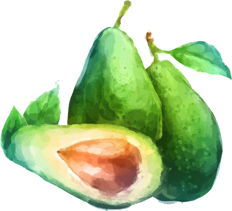 Watercolor Painting Fruit Drawing Illustration - Avocado Png Draw (1018x1024)