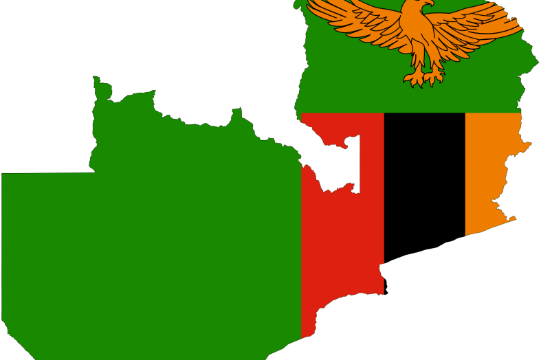 The Success Of Social Media Campaign In Zambia - Zambia Flag (787x524)