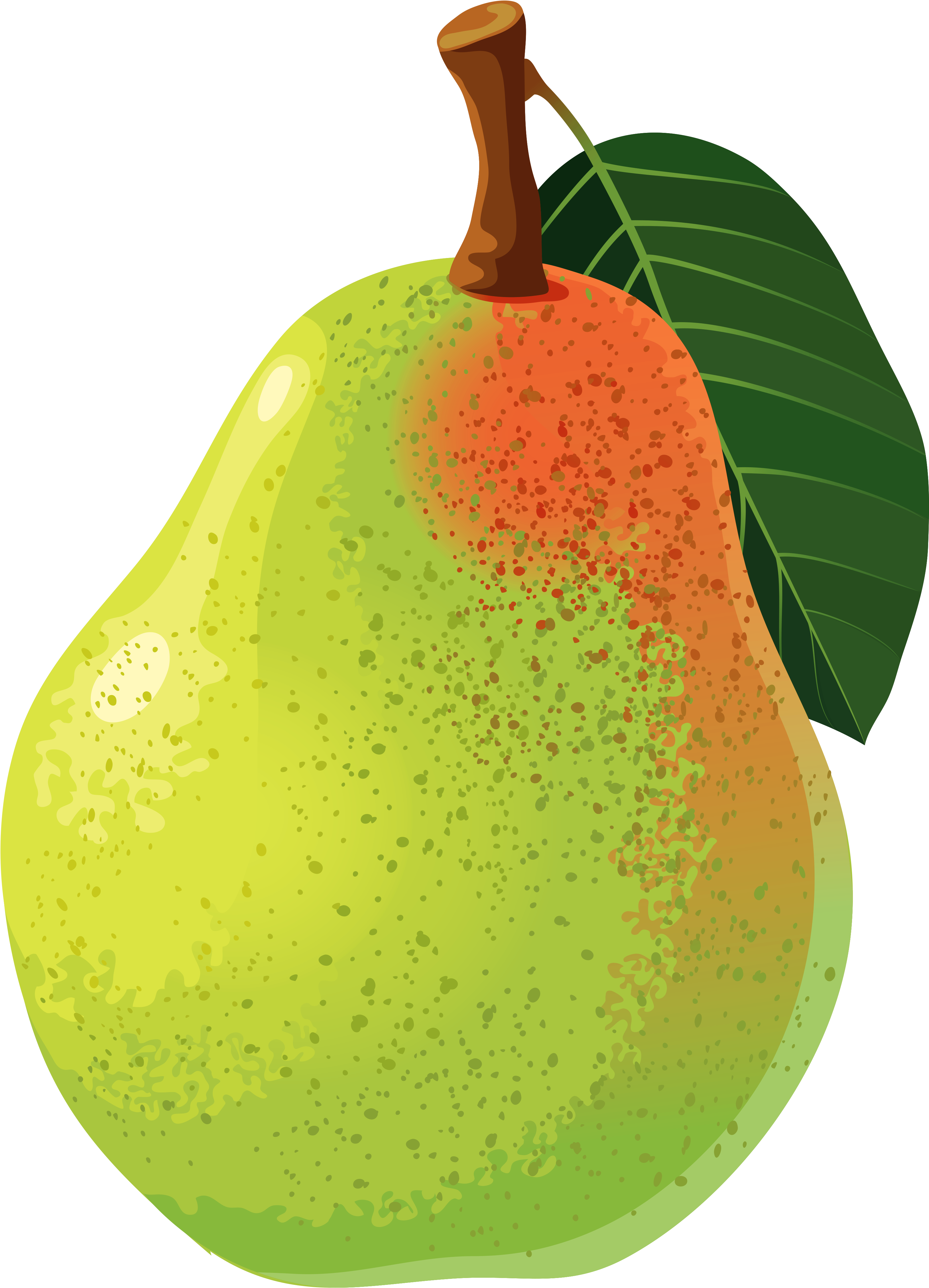 Pear Png Vector Clipart Image - Clip Art Pear (3381x4695)