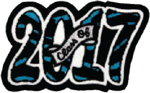 4 Digit Tiger Script Year Date Patch - Class Of 2017 Patch (500x500)