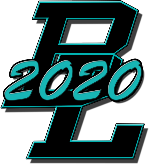 Class Of 2020 Sophomore Class Elections - Seattle Seahawks (816x900)