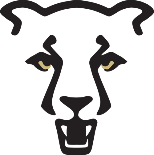 University Of Colorado Colorado Springs And The Rocky - University Of Colorado Boulder (500x501)