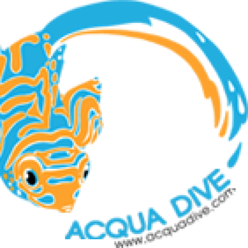 Dumaguete's Boutique Padi 5 Star Dive Resort - Dauin (512x512)