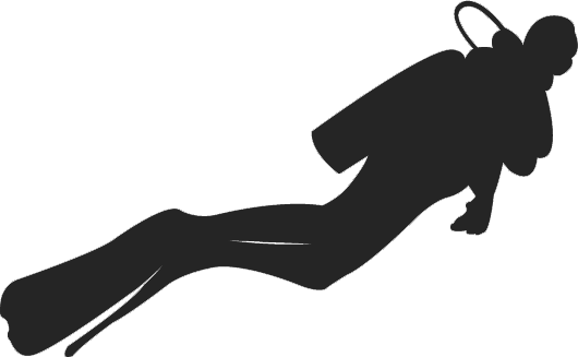 3-21m / All Levels / Access From Shore / Protected - Shadow Of A Diver (530x327)