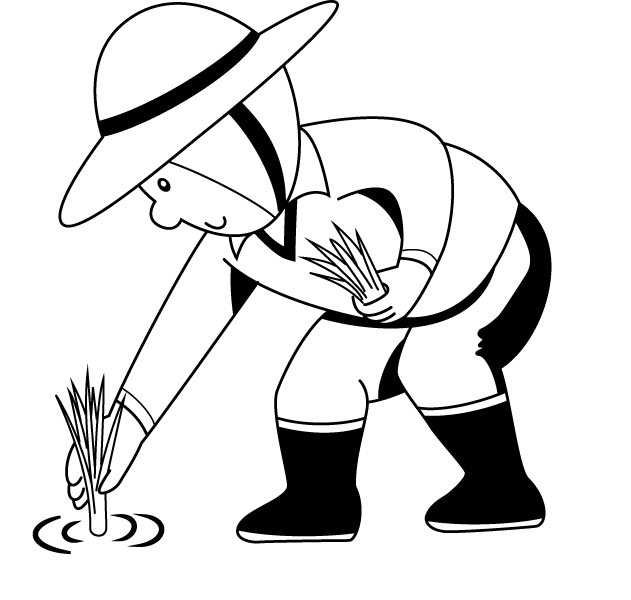 Rice Plant Colouring Pages - Rice Farm For Coloring (631x600)