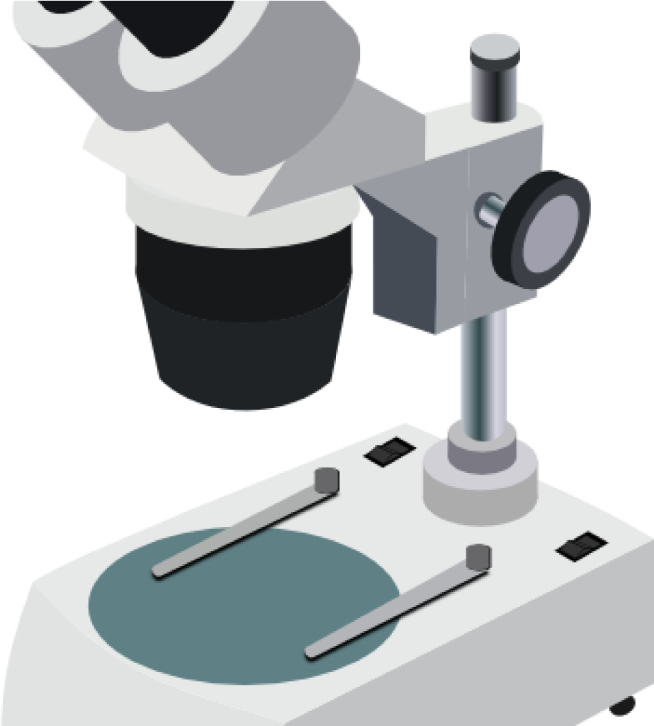 Microscope Clipart Microscope Clip Art At Clker Vector - Clip Art Microscope Png (1024x1024)