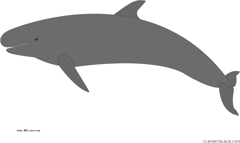 Killer Whale Animal Free Black White Clipart Images - Clip Art (822x567)