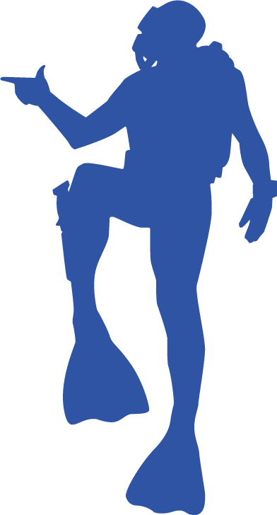 Scuba Dives And Many Others As Cave Dives , Drift Dives, - Scuba Dives And Many Others As Cave Dives , Drift Dives, (392x728)