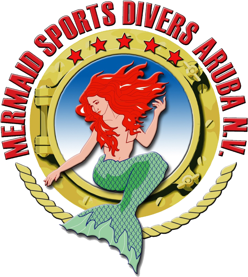 Mermaid Dive Center Aruba - Mermaid Divers Aruba (906x1024)