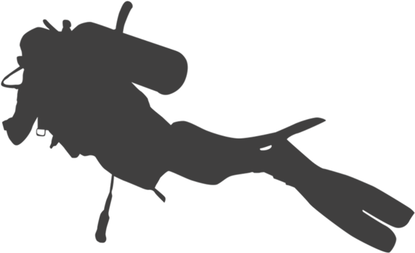 Splash Water Sports Inc (600x413)