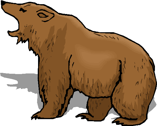 The Bear In The Medicine Card Pack Is About Introspection - Cartoon Bears (528x422)