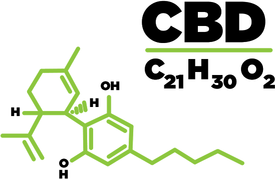 You May Already Have Heard About Cannabidiol In The - Thc Molecule (584x487)