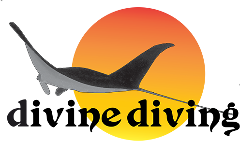 Divine Diving (500x340)