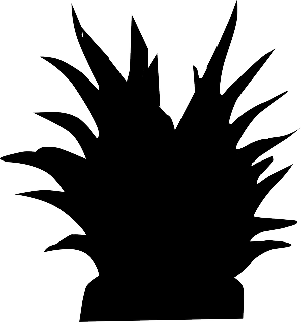Plant Black, Food, Silhouette, Wild, Plant - Plant Black Png (597x640)