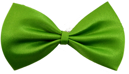 Bow Tie Lemon Colour - All Solid Color Bow Ties (480x266)