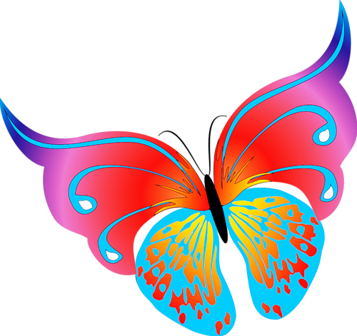 [ Img] - Butterfly Vector (500x471)