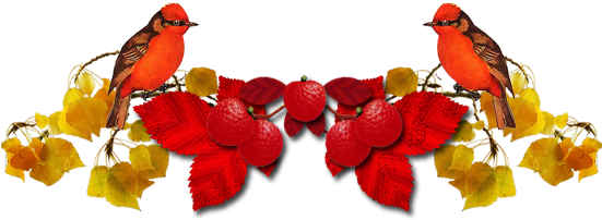 Комунальний Дошкільний Навчальний Заклад №17 "метелик" - День Учителя Пнг (550x258)