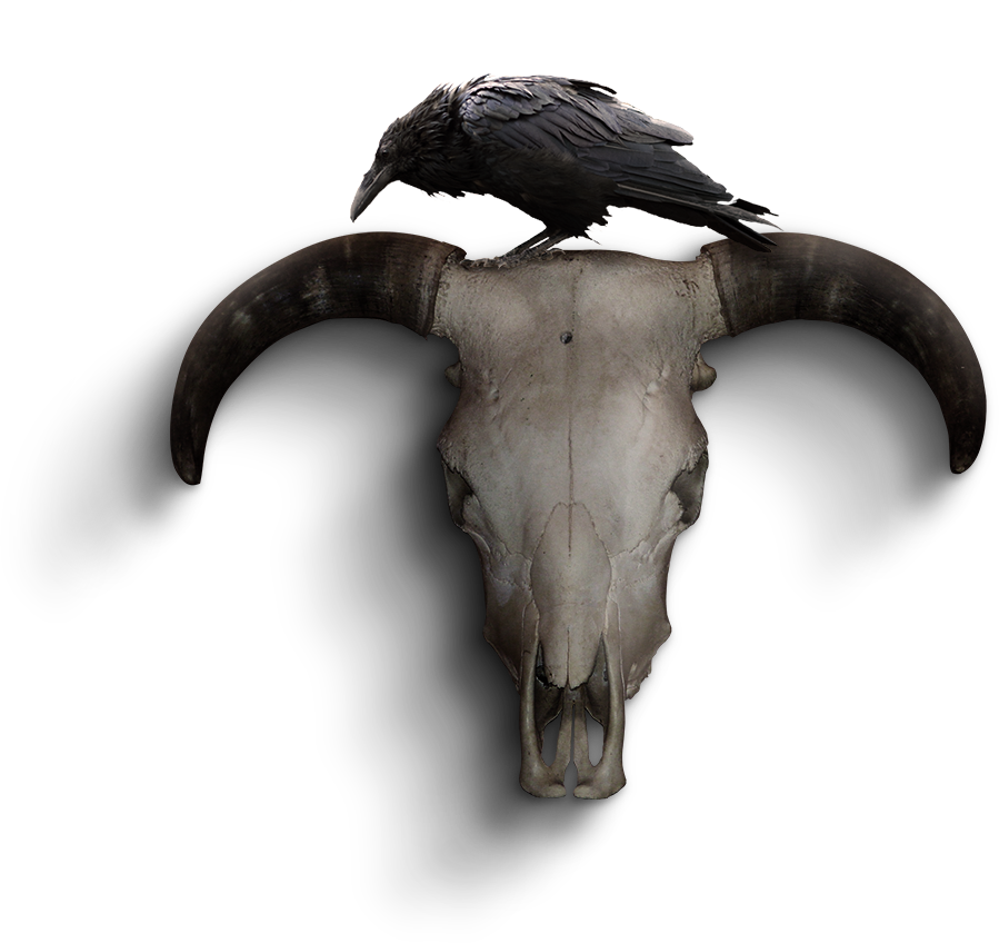 Imagenes Ahs Coven Png (899x848)