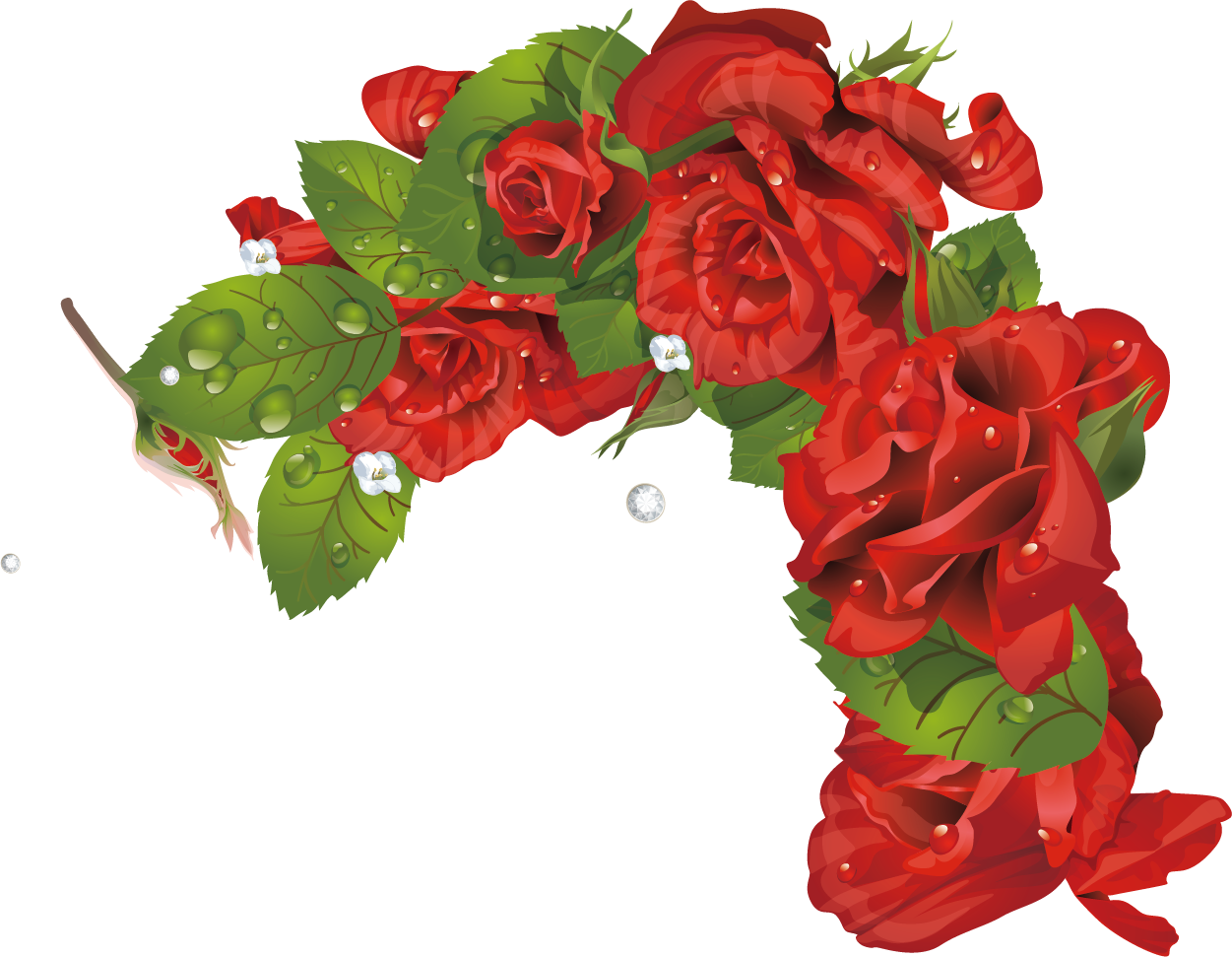 Garden Roses Beach Rose Picture Frame Clip Art - Garden Roses Beach Rose Picture Frame Clip Art (1251x971)