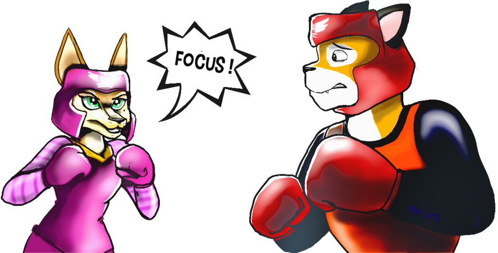 Meika Vs Tag - Boxing (1024x521)