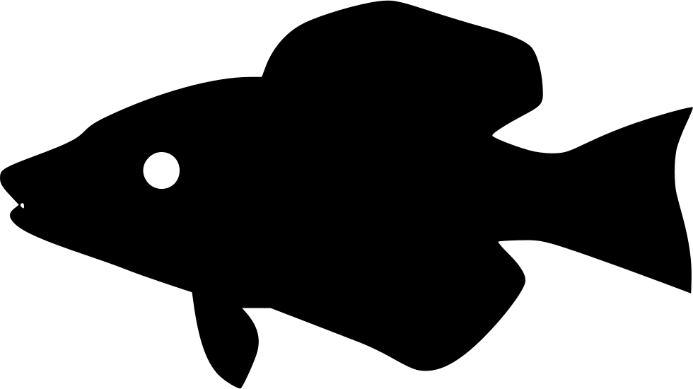 Hathery Predator River Hunter Ing Comments - Killer Whale (980x550)