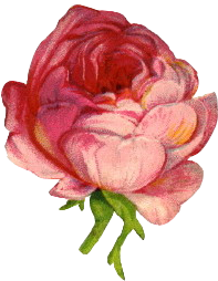 93 Images About Png On We Heart It - Flower Grunge Aesthetic Png (350x350)