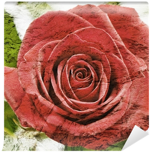 Old Grunge Background With Red Rose Wall Mural • Pixers® - Garden Roses (400x400)