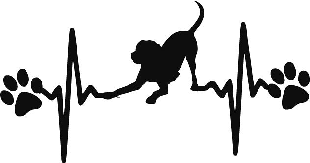 Dog Ekg Labrador Retriever Decal - Schnauzer Svg (869x379)