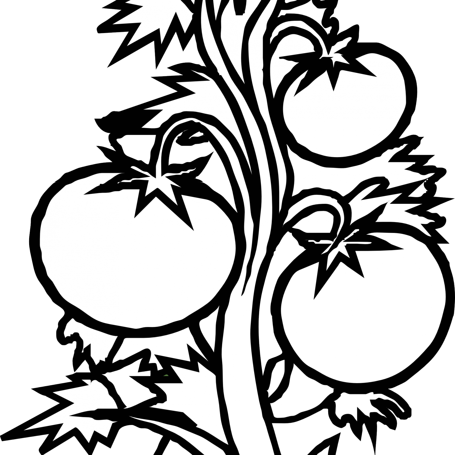 Plant Clipart Black And White Tomato Plant Black White - Tomato Plant Clip Art (1500x1500)