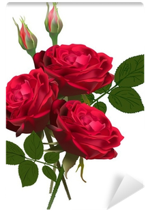Three Red Roses Bunch Isolated On White Wall Mural - Rose (400x400)
