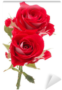 Red Rose Flower Bouquet Isolated On White Background - Rose (400x400)