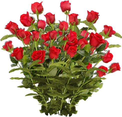 Red Roses Png - Good Day My Friend (512x512)