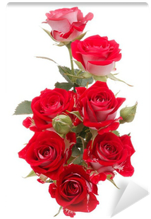 Red Rose Flower Bouquet Isolated On White Background - Rose Flower (400x400)