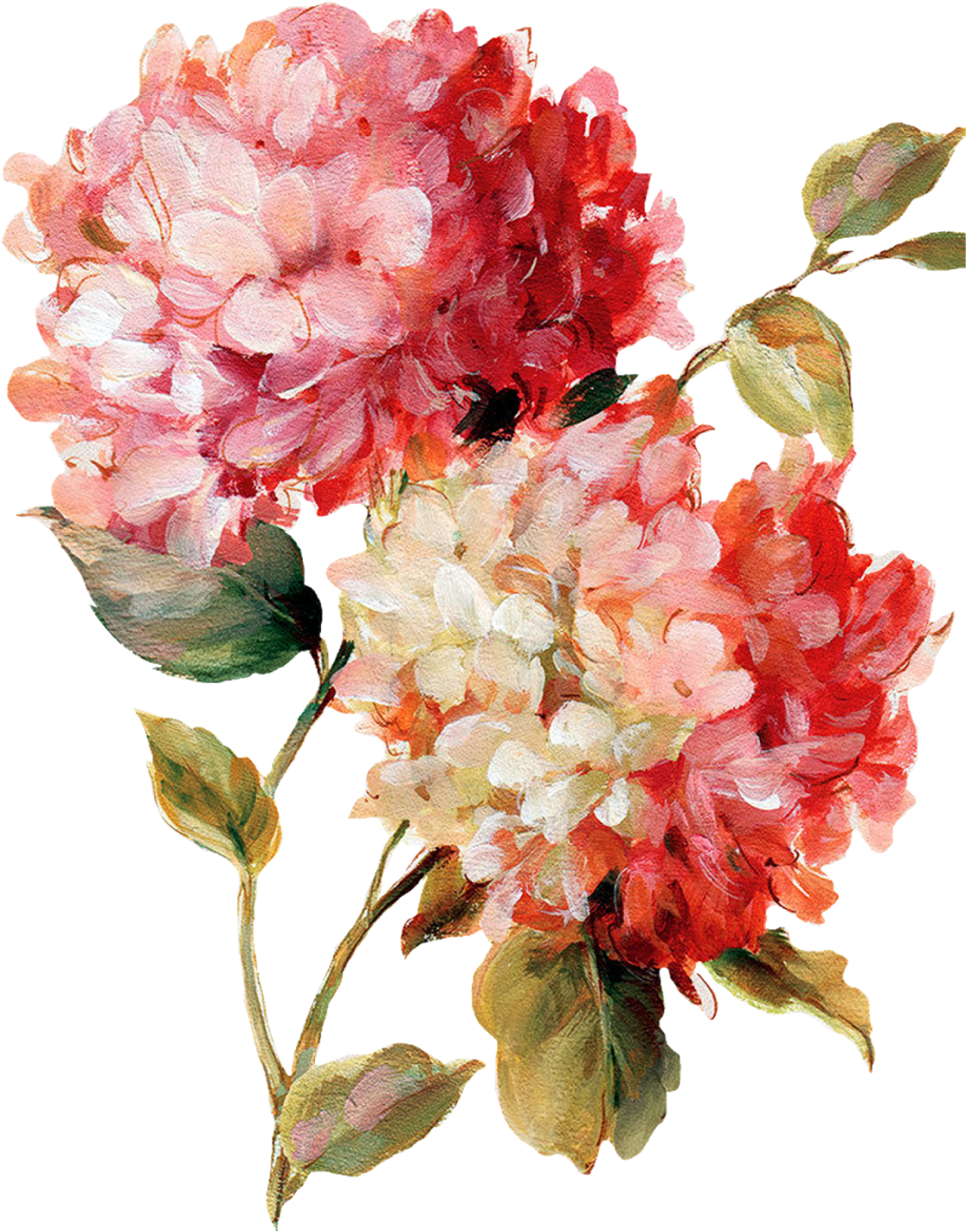 Decoupage Flower, Flower Painting, Flower Painting - Harmonious Hydrangeas Linen Poster Print By Lisa Audit (1257x1600)